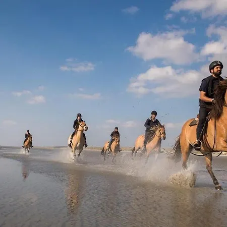 Apartment Au Rdc D'une Maison